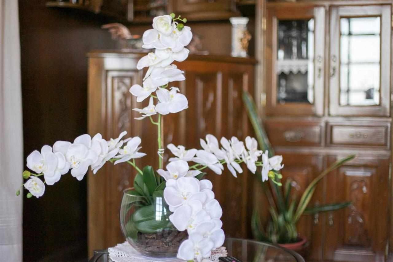 Casa Rural Do Salgueirinho 산토티르소 외부 사진